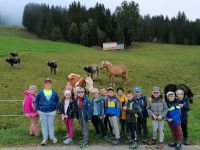 1a_edelweisalm1