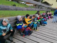 1a_edelweisalm2