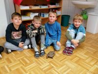 photo-2022-11-11-18-15-49