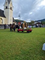bild3
