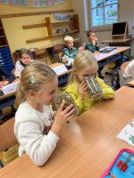 img-20241206-wa0028